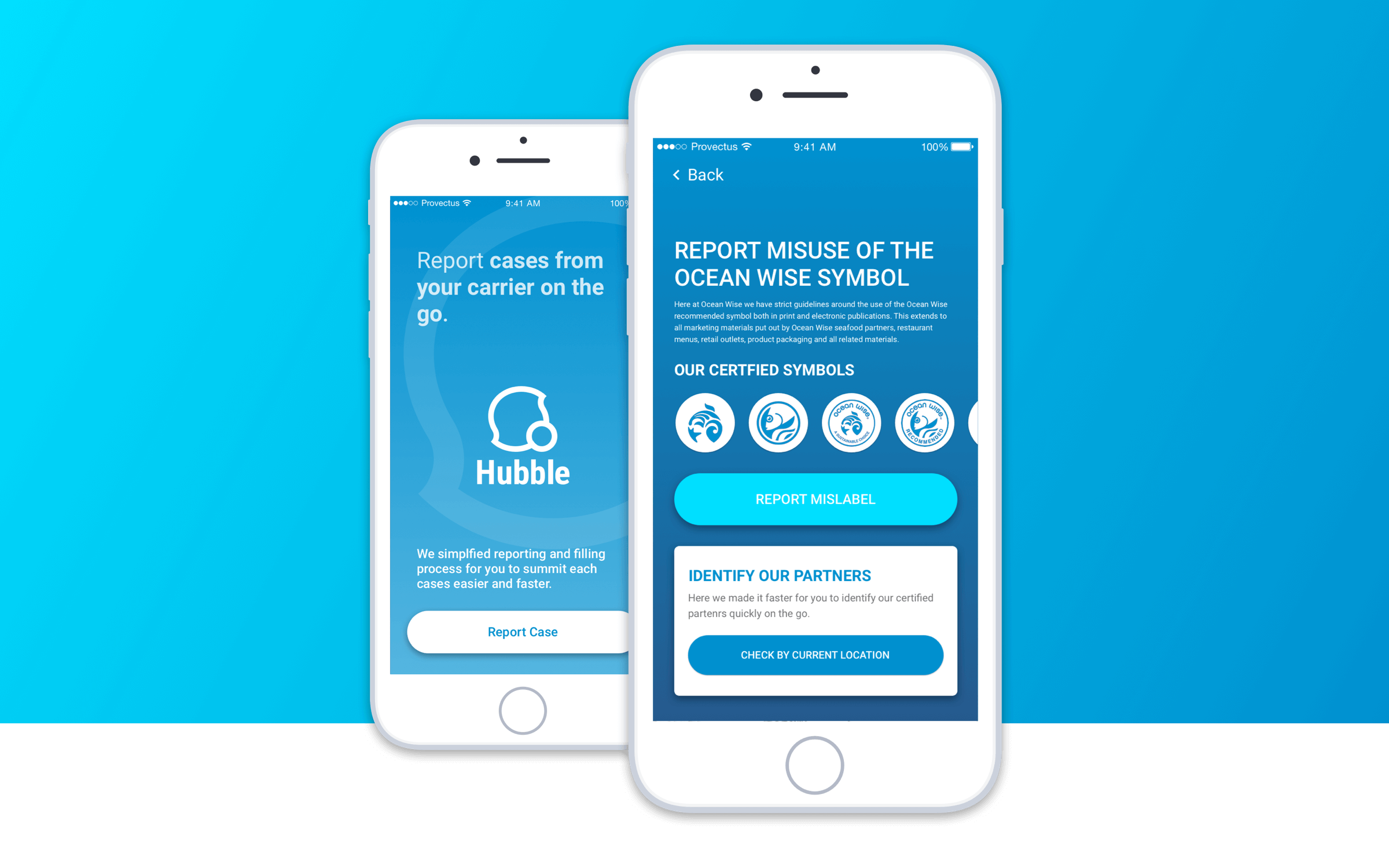 Hubble - A Reporting System for Ocean Wise