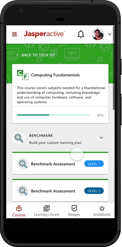 Benchmark Assessment Flow